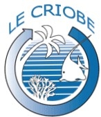 Logo Criobe