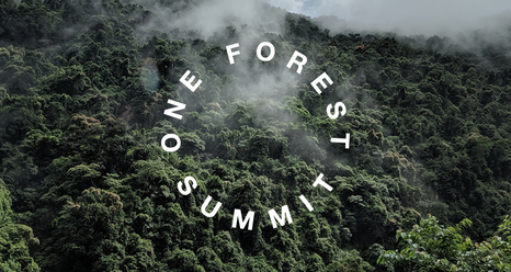 One Forest Summit