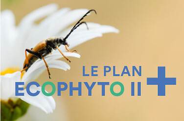 Le plan EcophytoII+