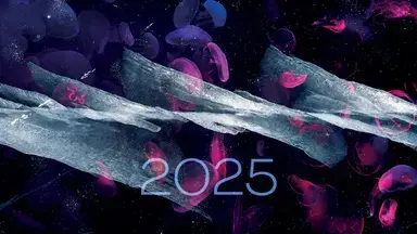 Voeux 2025 vignette site