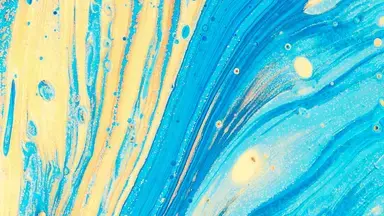 mesr_maladies_rares_