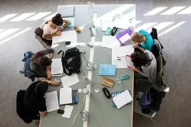 Étudiants qui révisent