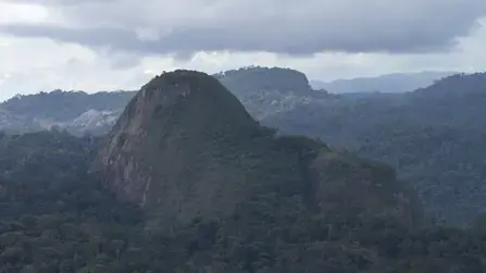 Inselberg 