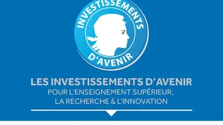 Investissements d'avenir - Les investissements d'avenir pour l'enseignement supérieur, la recherche et l'innovation