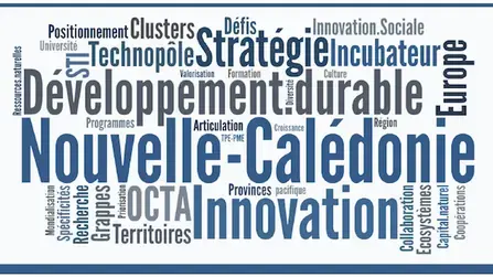 STI_Nouvelle_Caledonie