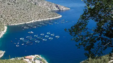 Aquaculture durable