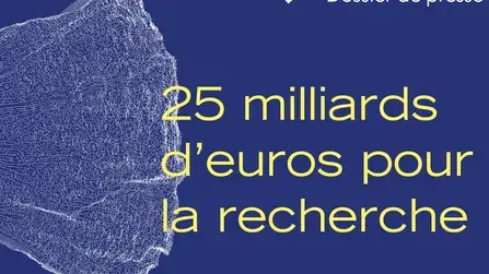 vignette recherche covid 2