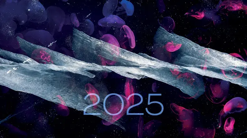 Voeux 2025 vignette site
