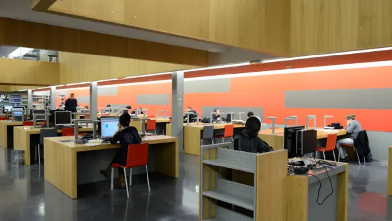 Étudiants qui travaillent sur des ordinateurs