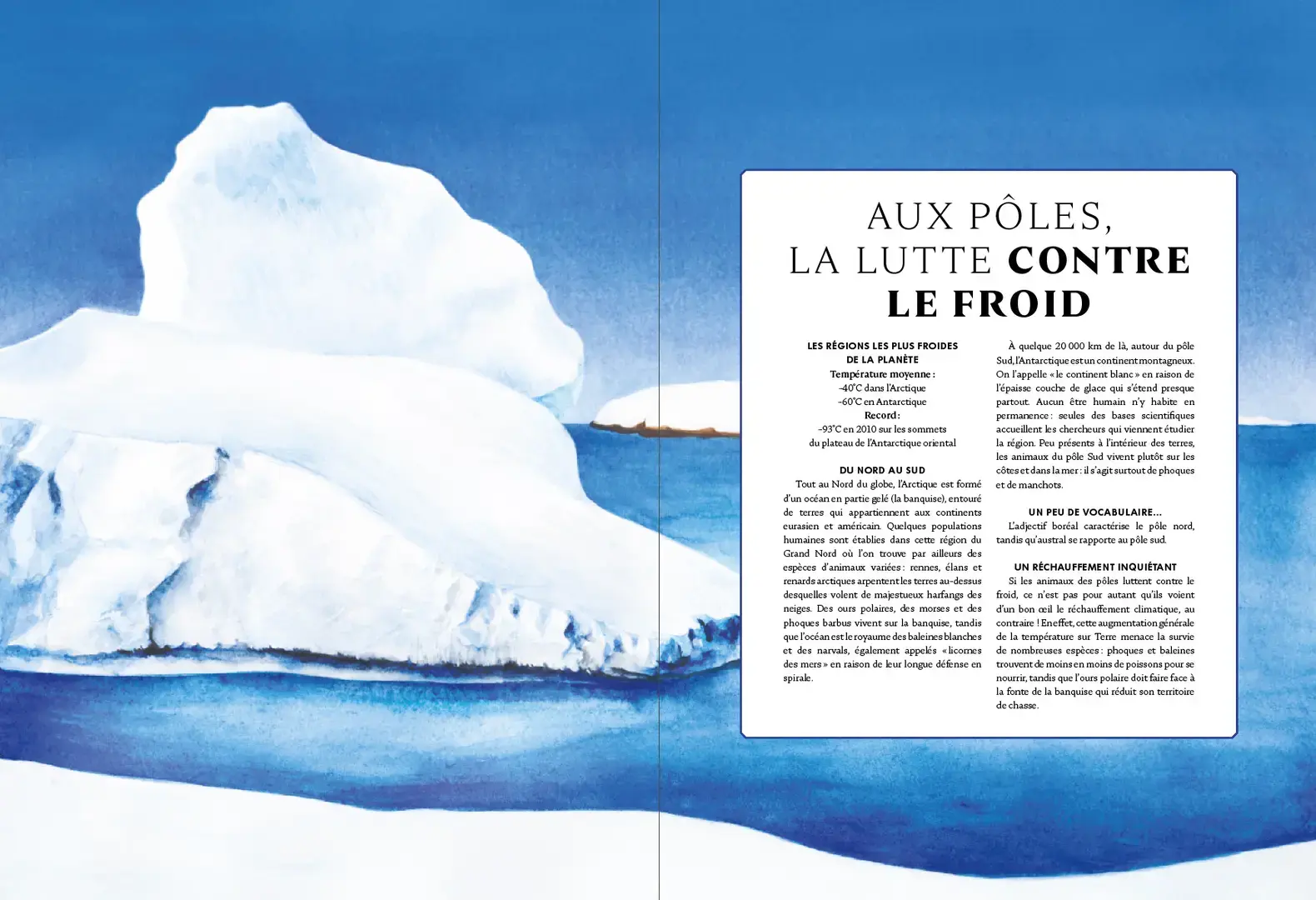 Planche illustrant et décrivant les effets du changement climatique sur les espèces vivant aux pôles
