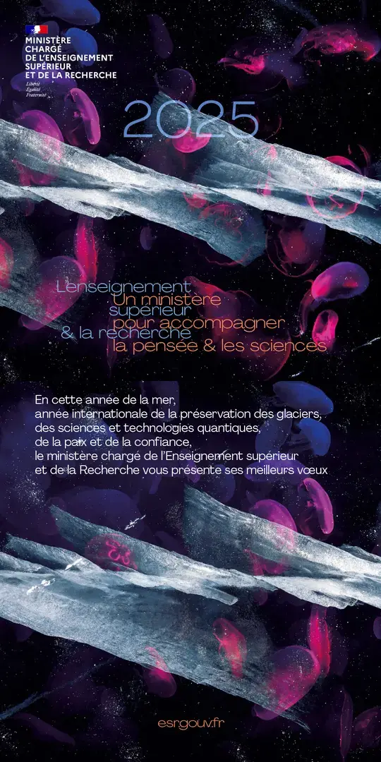 Visuel voeux 2025 format story