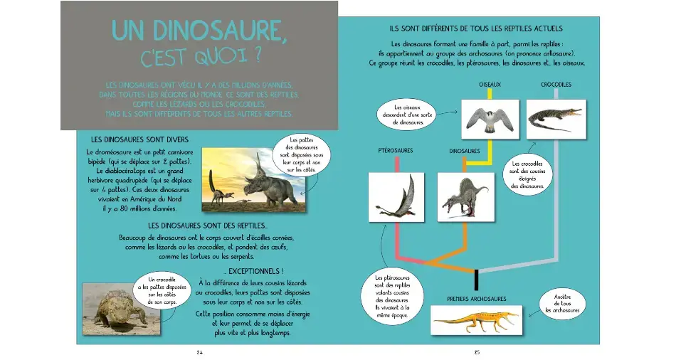 Rapta, Le dinosaure qui pouvait voler Jean-Baptiste de Panafieu, Adrienne Barman