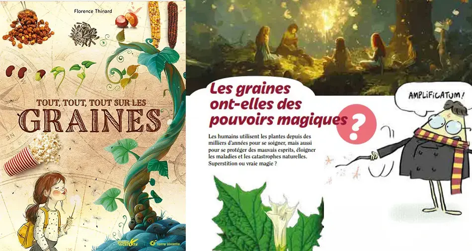 Tout, tout, tout sur les graines