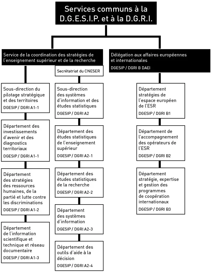 Services communs à la DGESIP et DGRI