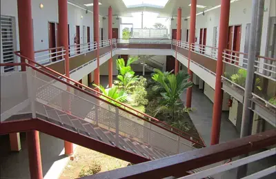 Pepiniere GDI Guyane 