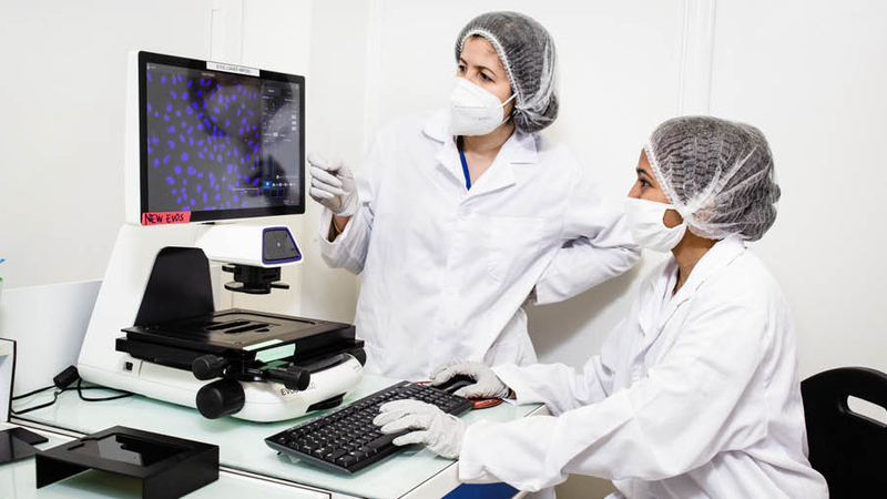 Analyse de cellules sur des microsupports à l'aide d'un microscope à fluorescence