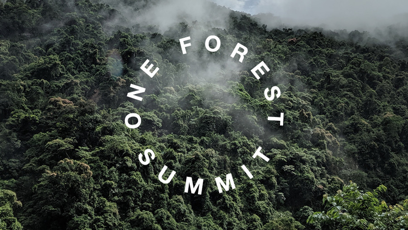 One Forest Summit