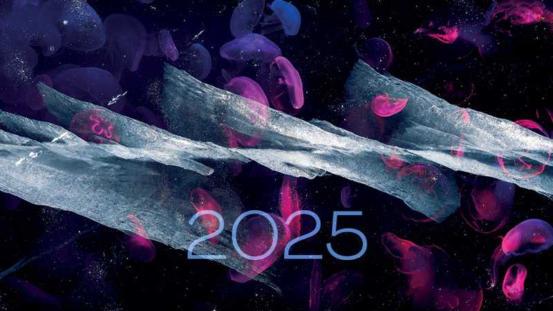 Voeux 2025 vignette site