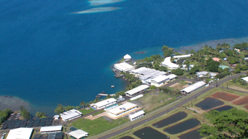 IFREMER (presqu'île de Tahiti)