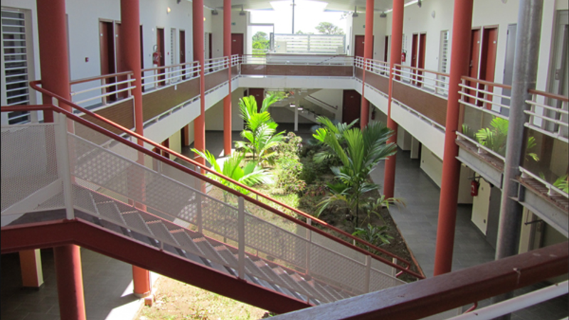 Pepiniere GDI Guyane 