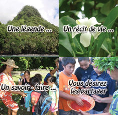 Service de la culture et du patrimoine (Polynésie française)