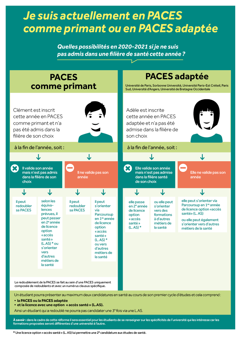 infographie 3 études de santé