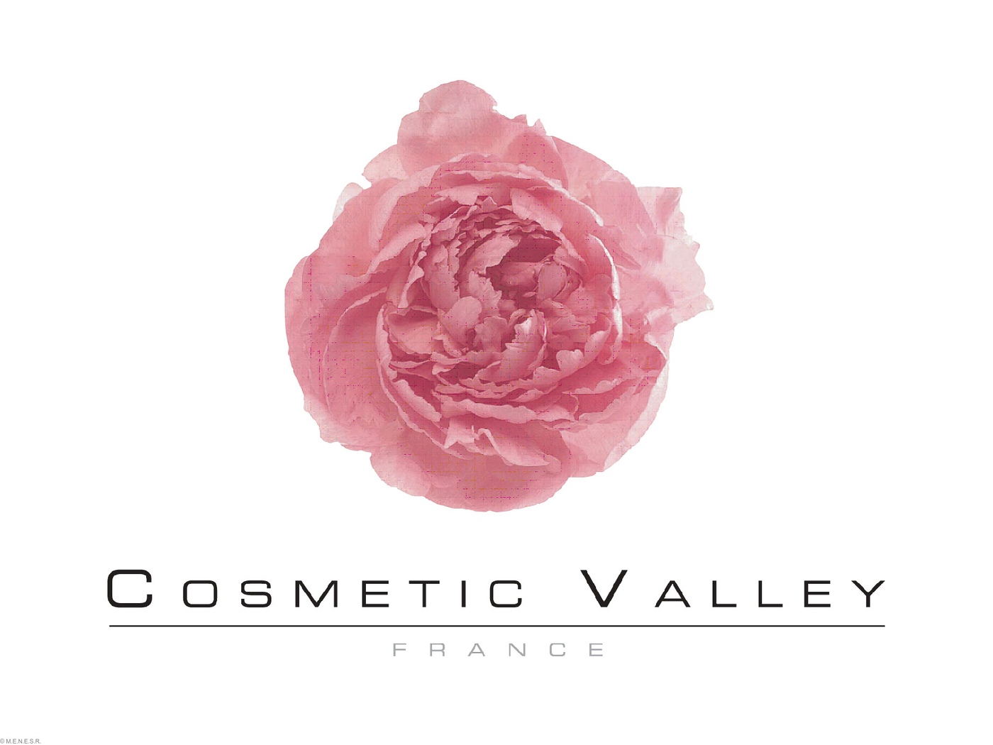 Logo pôle Cosmetic Valley