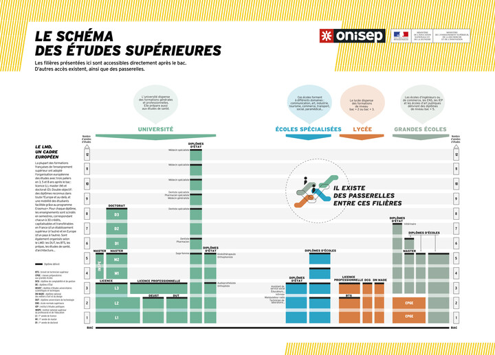 Schéma de l'enseignement supérieur