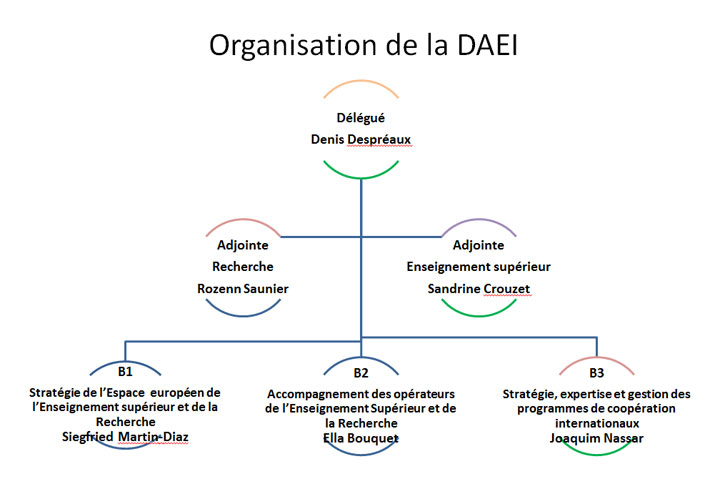 Organisation DAEI