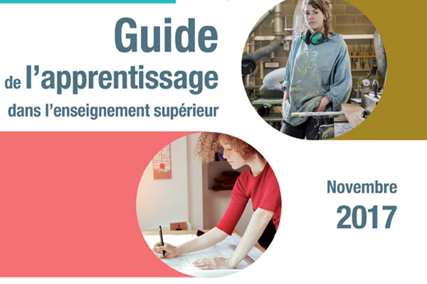 Guide de l'apprentissage dans l'Enseignement supérieur 2017