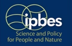 IPBES