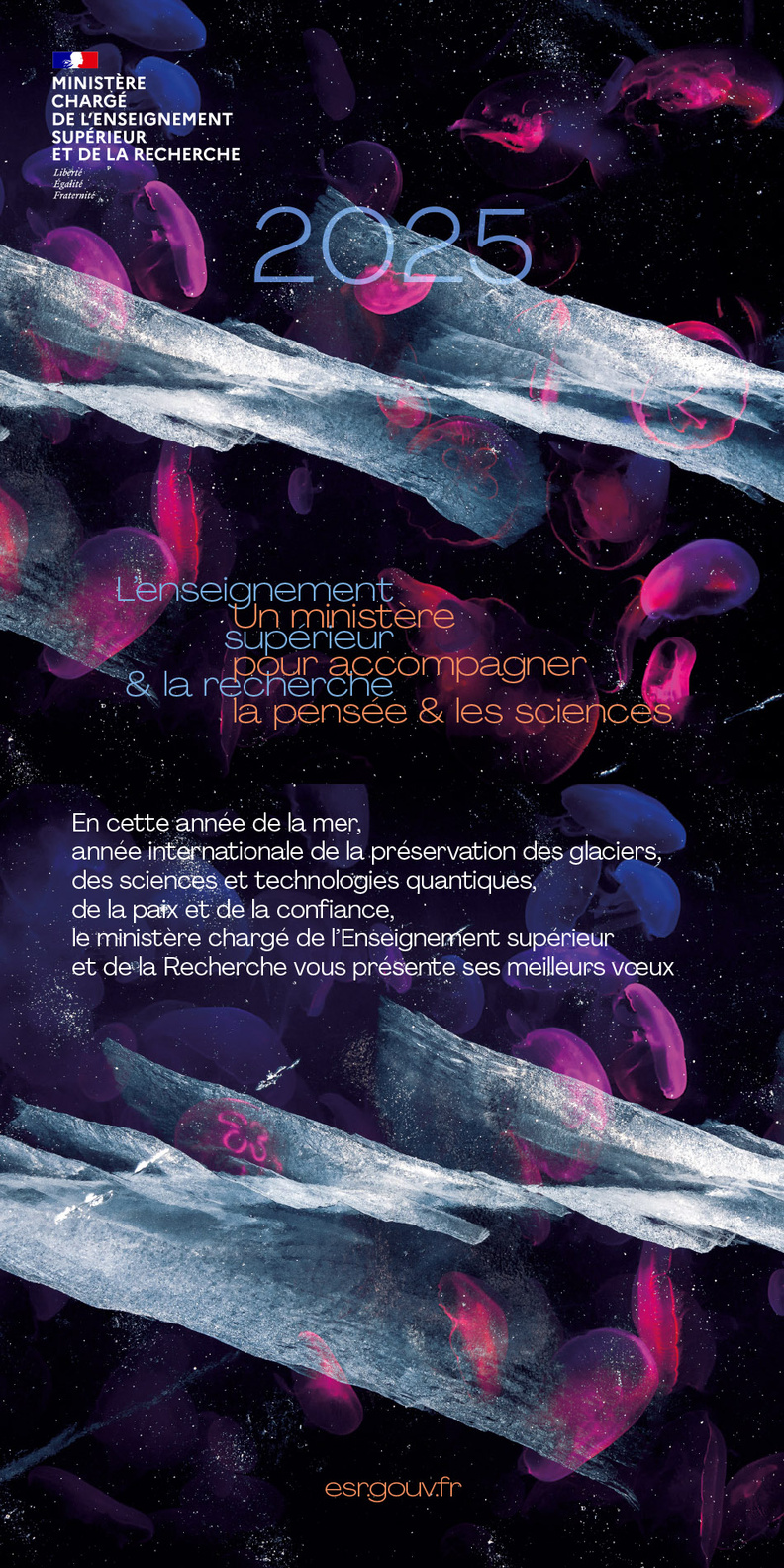 Visuel voeux 2025 format story