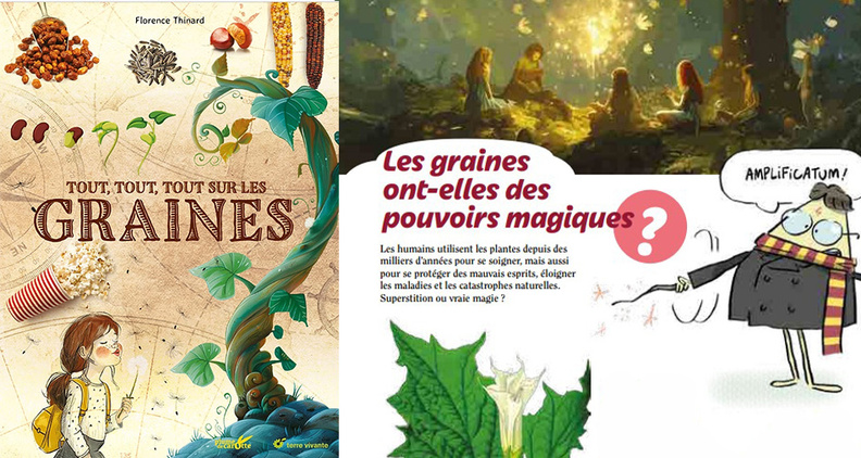 Tout, tout, tout sur les graines