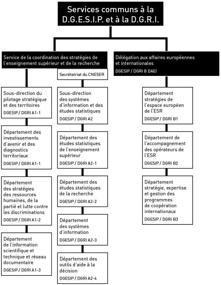 Services communs à la DGESIP et DGRI