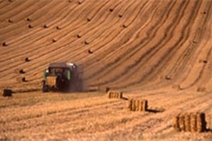 moisson dans les champs