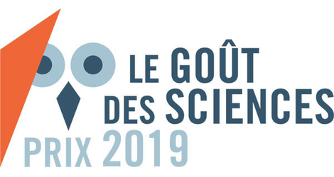 GDS 2019 logo