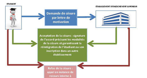 Schéma décrivant la procédure type de demande de césur