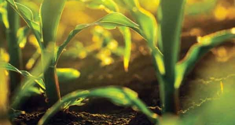 Appel à projets Ecophyto