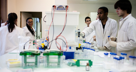 Étudiants dans un laboratoire