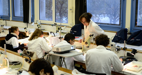 Étudiants en tp