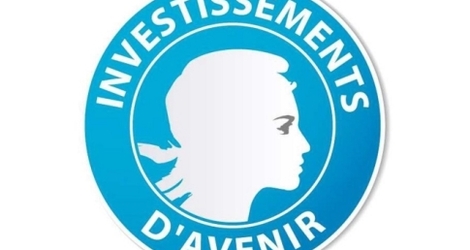 pia