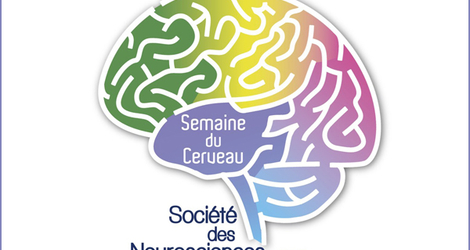 Semaine du cerveau 2018 - Société des neurosciences