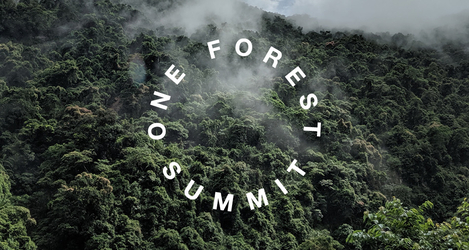 One Forest Summit