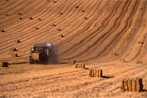 moisson dans les champs