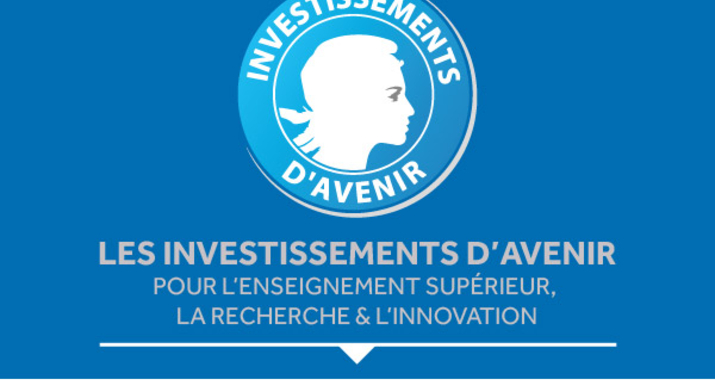 Investissements d'avenir - Les investissements d'avenir pour l'enseignement supérieur, la recherche et l'innovation
