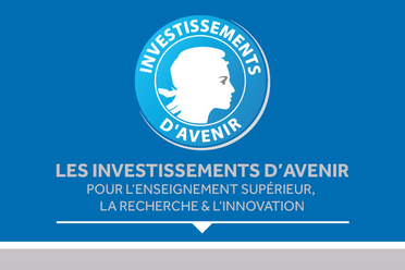 Investissements d'avenir - Les investissements d'avenir pour l'enseignement supérieur, la recherche et l'innovation