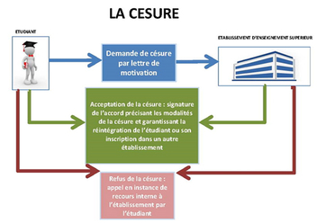 Schéma décrivant la procédure type de demande de césur