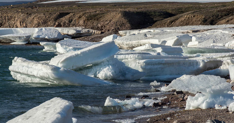Banquette issu de la débâcle de la glace de mer durant l'été sur la côte nord-est du Groenland